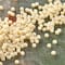 12 Pack: Toho® Opaque Japanese Glass Seed Beads, 11/0